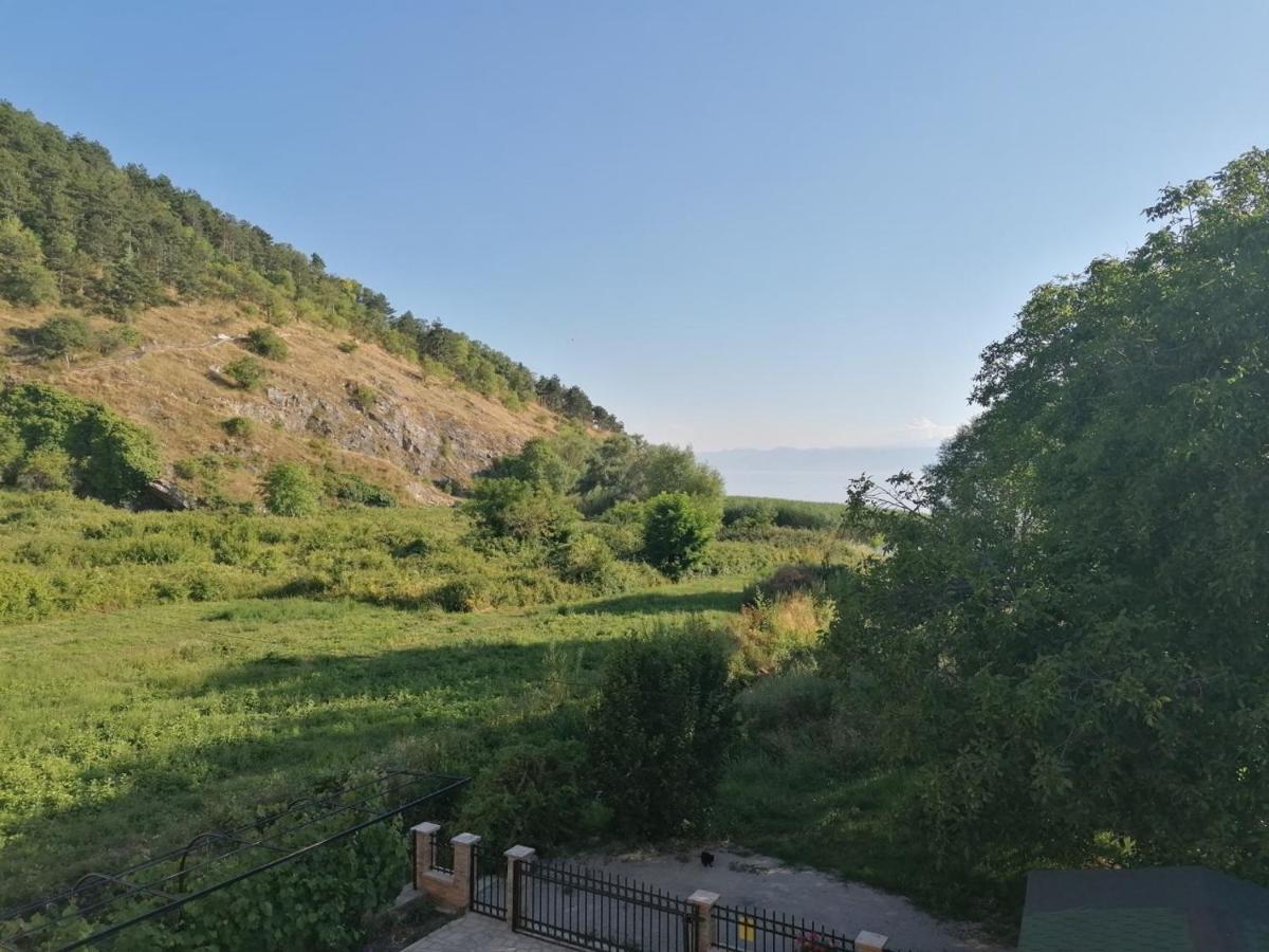 Vila Sara Ohrid Esterno foto