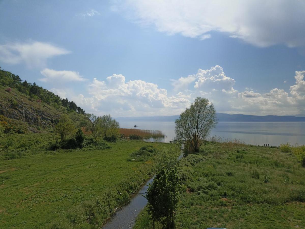 Vila Sara Ohrid Esterno foto