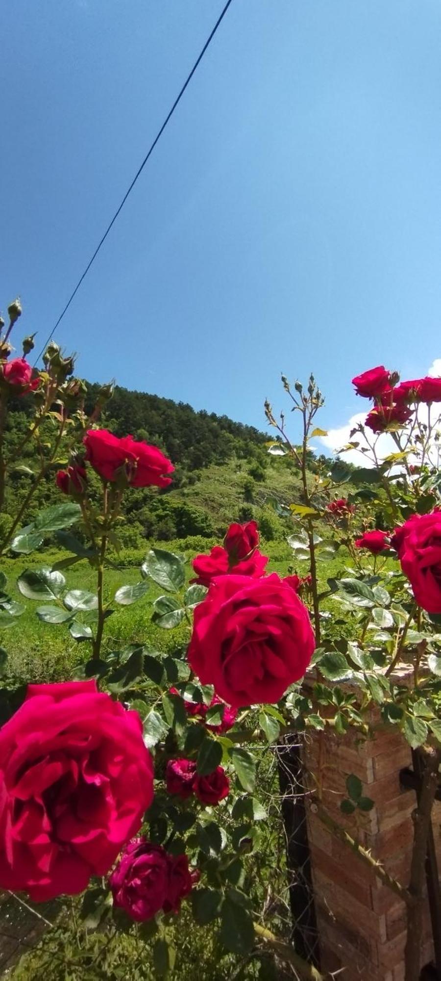 Vila Sara Ohrid Esterno foto