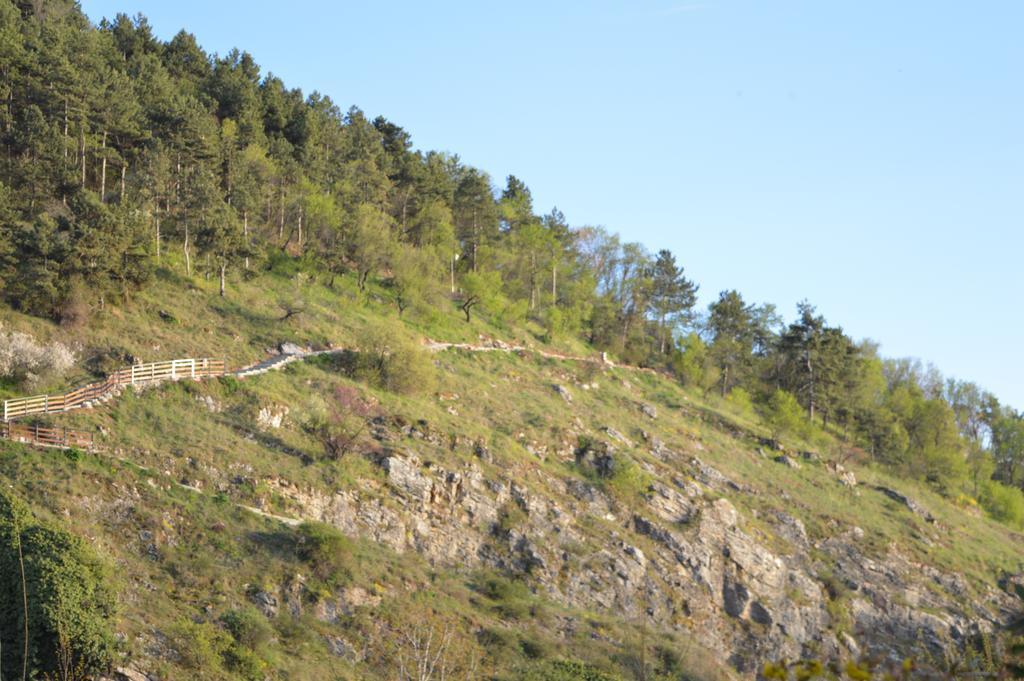 Vila Sara Ohrid Esterno foto
